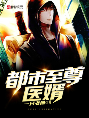 都市至尊医婿