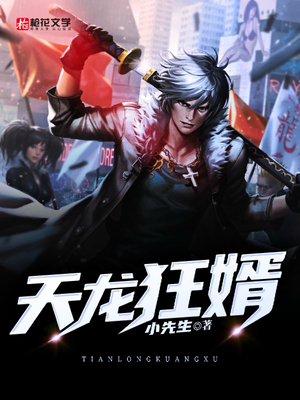 天龙狂婿