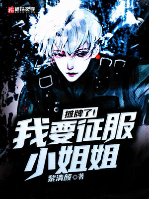 摊牌了！我要征服小姐姐