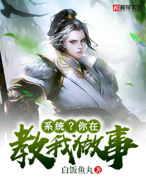 系统？你在教我做事