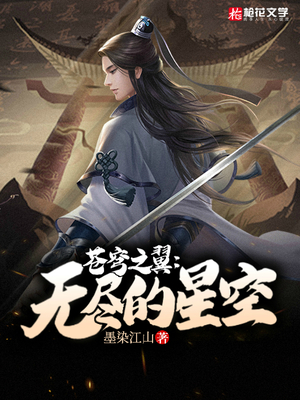 苍穹之翼：无尽的星空